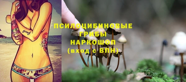 амф Вяземский