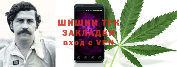 шишки Вязники