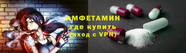 амф Вяземский