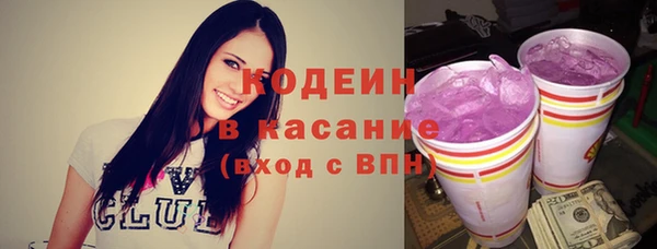 амф Вяземский