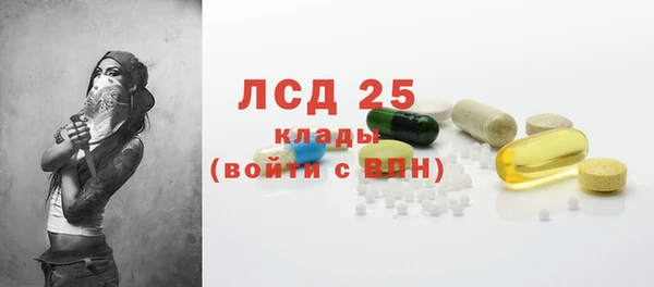 амф Вяземский