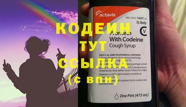 амф Вяземский
