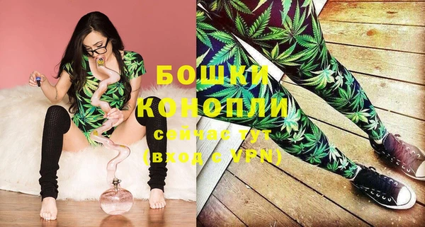 шишки Вязники