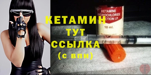 шишки Вязники