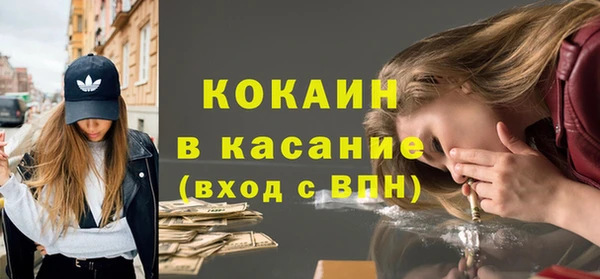 шишки Вязники