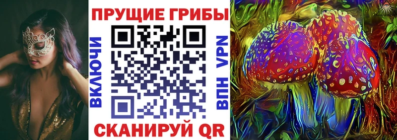 ссылка на мегу онион  где продают   Элиста  Галлюциногенные грибы Cubensis 